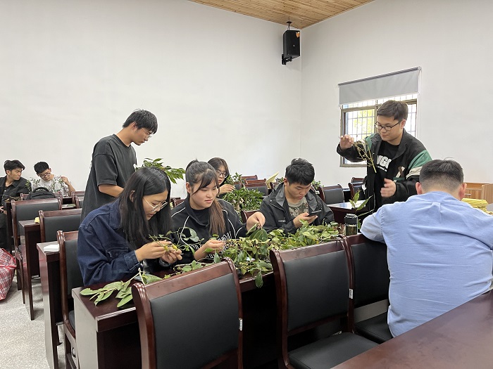 植物实习