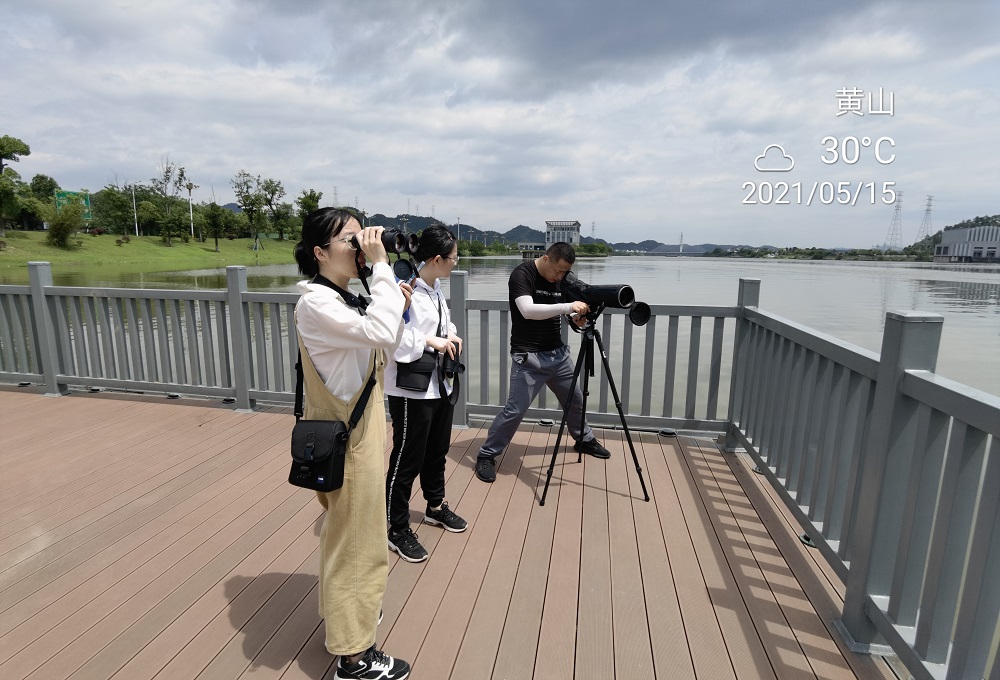 带领学生在新安江流域观鸟